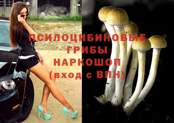 мет Абаза