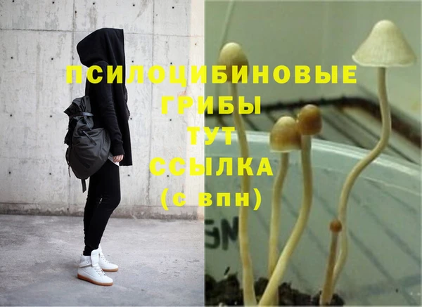 мет Абаза